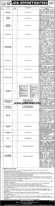 Provincial TB Control Program Punjab Jobs 2026