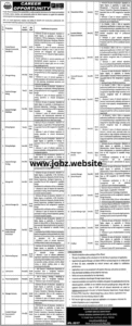 Punjab Mineral Company Jobs 2026